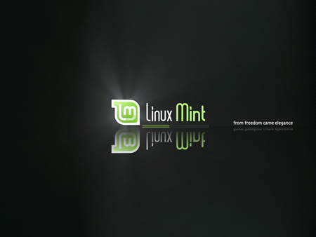 Linux Screenshot 1